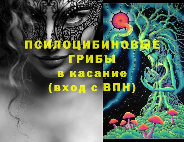 стафф Алзамай