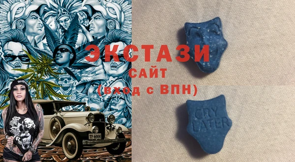 стафф Алзамай